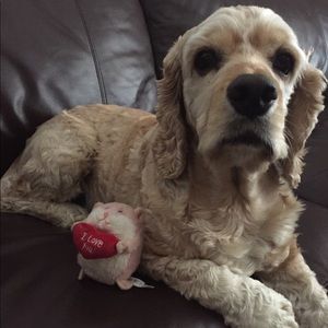 Meet your Posher, Emma